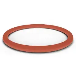 Picture of 21.952" (557.58MM) ID X .210" (5.33MM