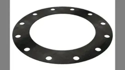 Picture of GASKET, 60 DURO EPR, 12.00" 300# FF