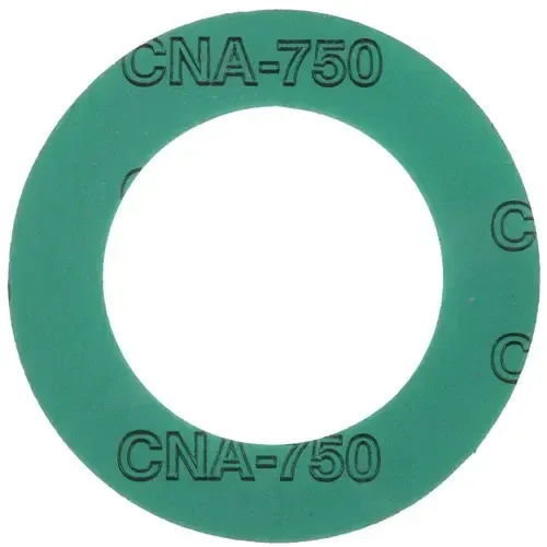 Picture of GASKET, CNA 750, 6.000" 150# RF