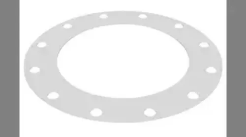 Picture of GASKET, VIRGIN PTFE, 10.00" 150# RF