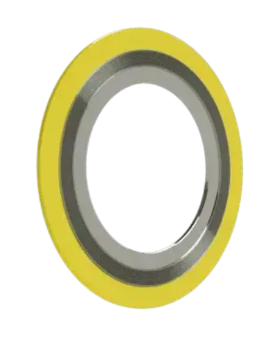 Picture of 3/4" 300/400/600LB 304 SS & GRAPHITE RWI