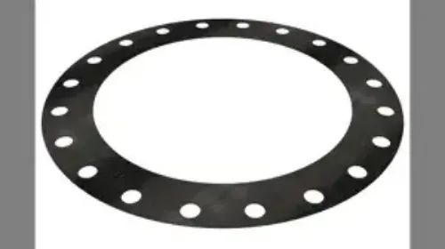 Picture of GASKET, 60 DURO EPR, 16.00" 300# FF